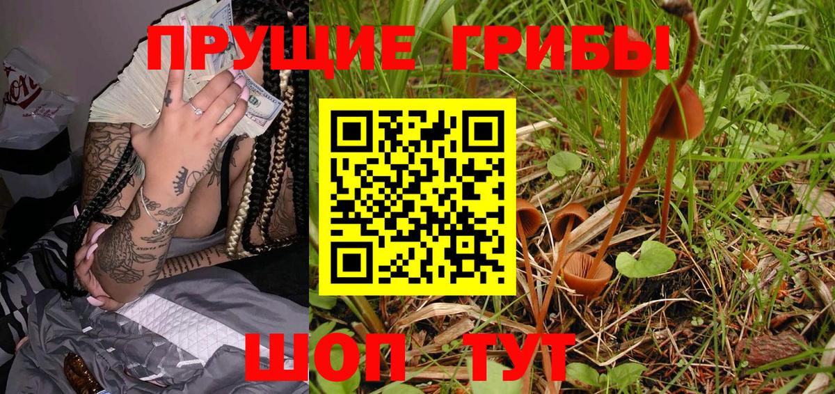 Галлюциногенные грибы GOLDEN TEACHER Дзержинский